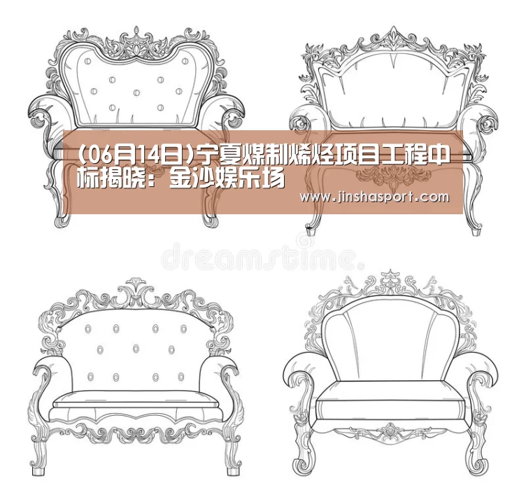 (06月14日)宁夏煤制烯烃项目工程中标揭晓:金沙娱乐场(图2) 金沙娱乐场