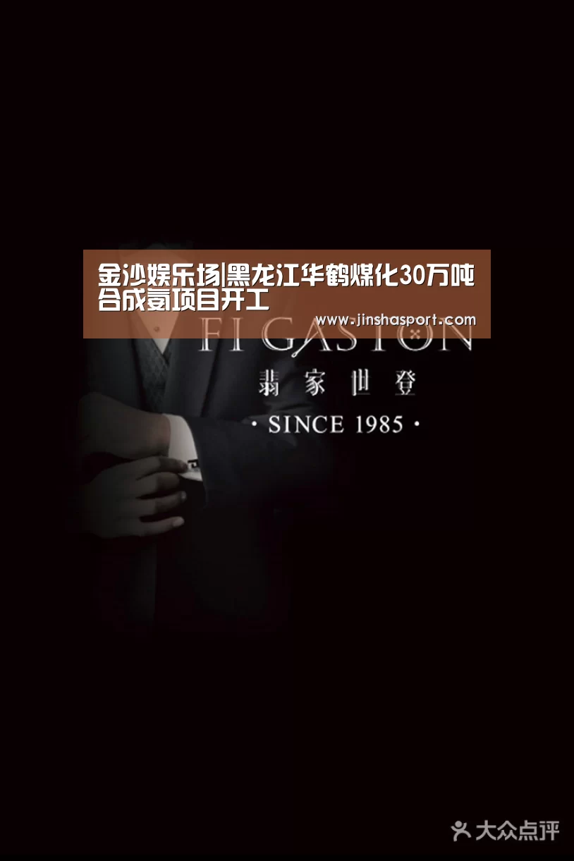 金沙娱乐场|黑龙江华鹤煤化30万吨合成氨项目开工(图2) 金沙娱乐城