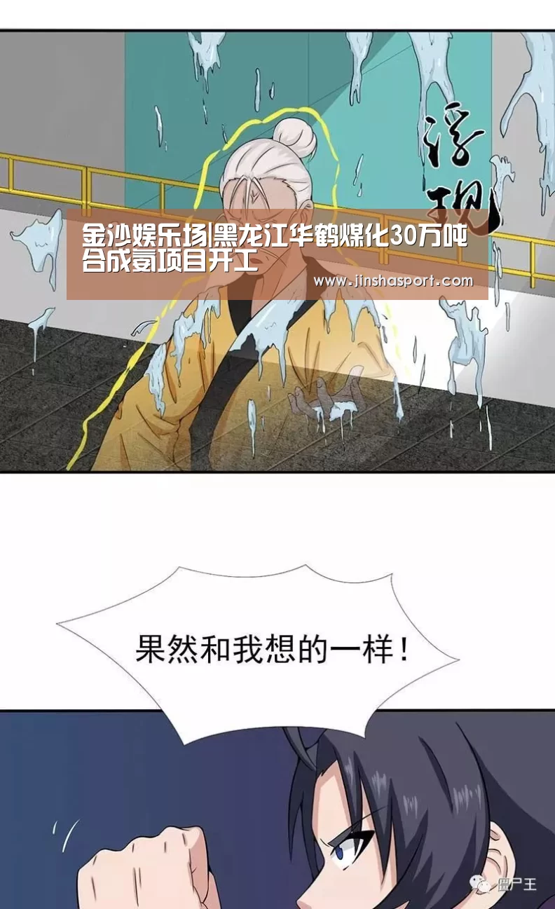 金沙娱乐场|黑龙江华鹤煤化30万吨合成氨项目开工(图1) 澳门金沙