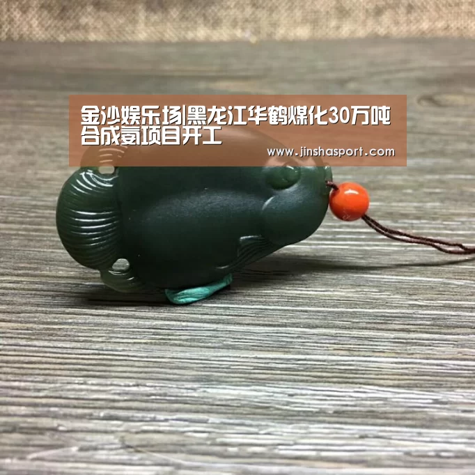 金沙娱乐场|黑龙江华鹤煤化30万吨合成氨项目开工(图3) 金沙娱乐场